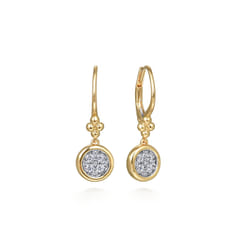 14K White  Yellow Gold Diamond Lever Back Earrings-Bujukan