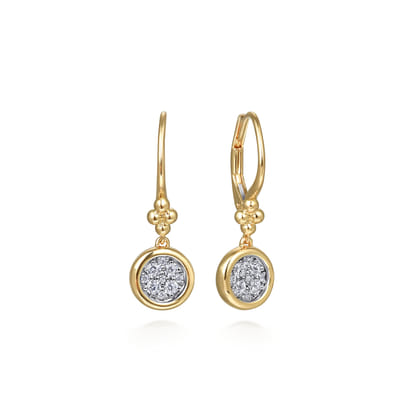 14K White  Yellow Gold Diamond Lever Back Earrings-Bujukan