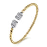 14K White and Yellow Gold Baguette and Round Rectangular Bujukan Bangle - 0.85 ct