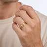14K Yellow Gold 6mm Men's Ring Brush Finish in Satin Finish