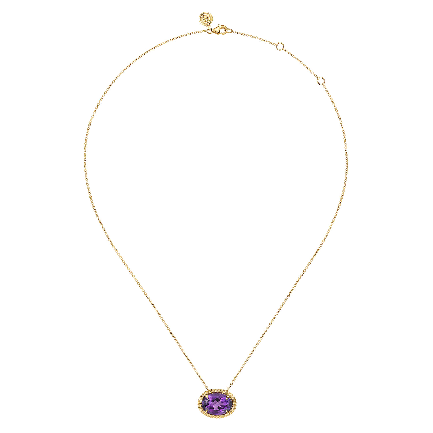 14K Yellow Gold Amethyst and Bujukan Double Pendant Necklace