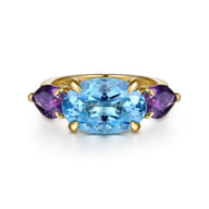 14K Yellow Gold Blue Topaz and Amethyst Signet Ring