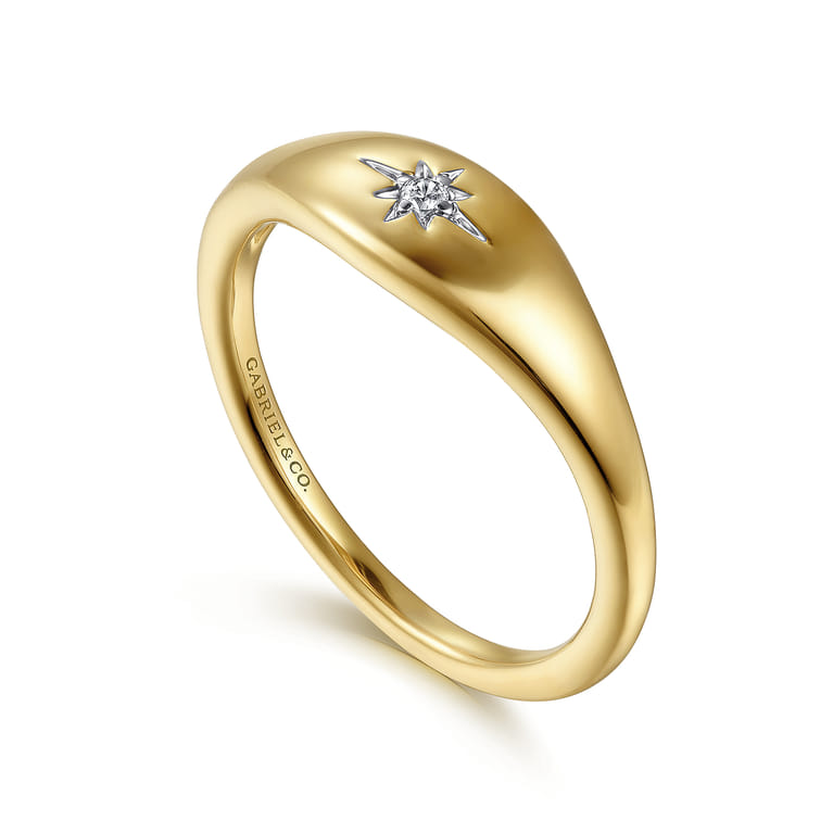 14K Yellow Gold Diamond Signet Ring - 0.02 ct - Shot 3
