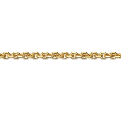 14K Yellow Gold Link Chain Bracelet