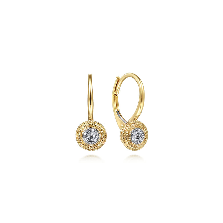 14K Yellow Gold Round Twisted Rope Frame Diamond Leverback Earrings - 0.06 ct - Shot 1