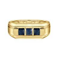 14K Yellow Gold Sapphire Men's Ring in Sand Blast Finish