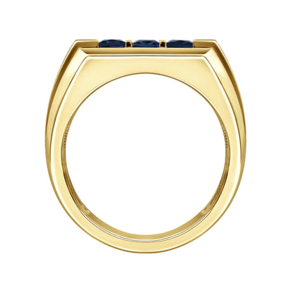 14K Yellow Gold Sapphire Men's Ring in Sand Blast Finish