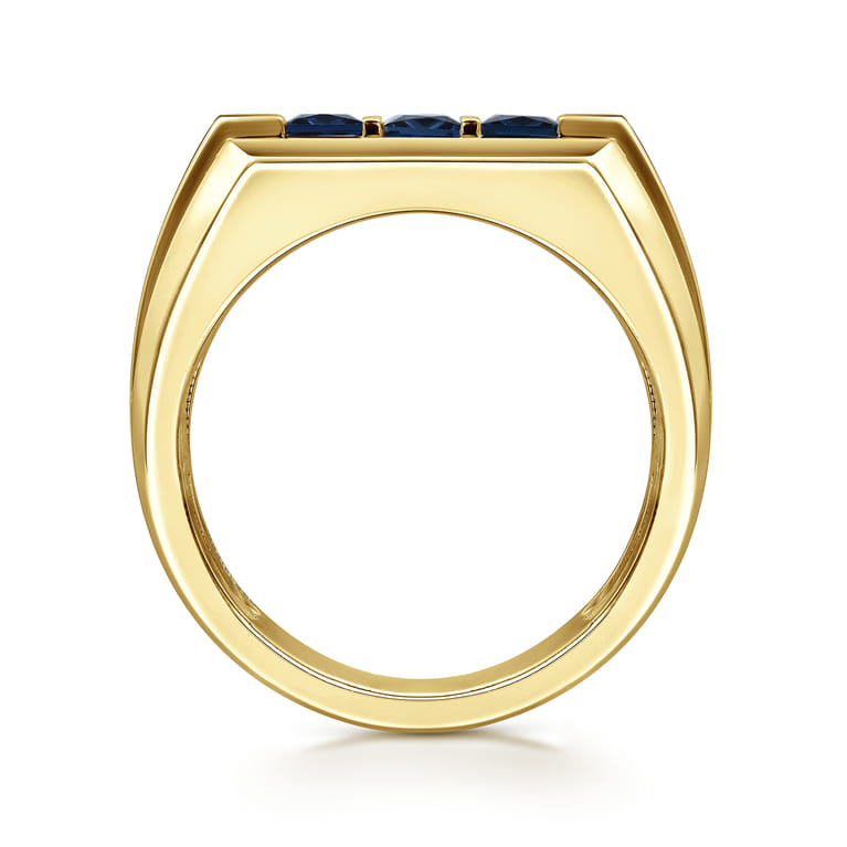 14K Yellow Gold Sapphire Men's Ring in Sand Blast Finish - Shot 2