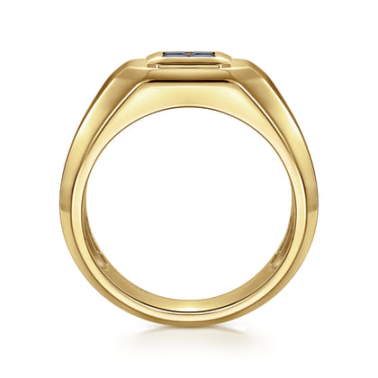 14K Yellow Gold Signet Ring with Princess Cut Sapphires