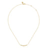 14K Yellow Plain Gold Graduating Bujukan and Spike Bar Necklace