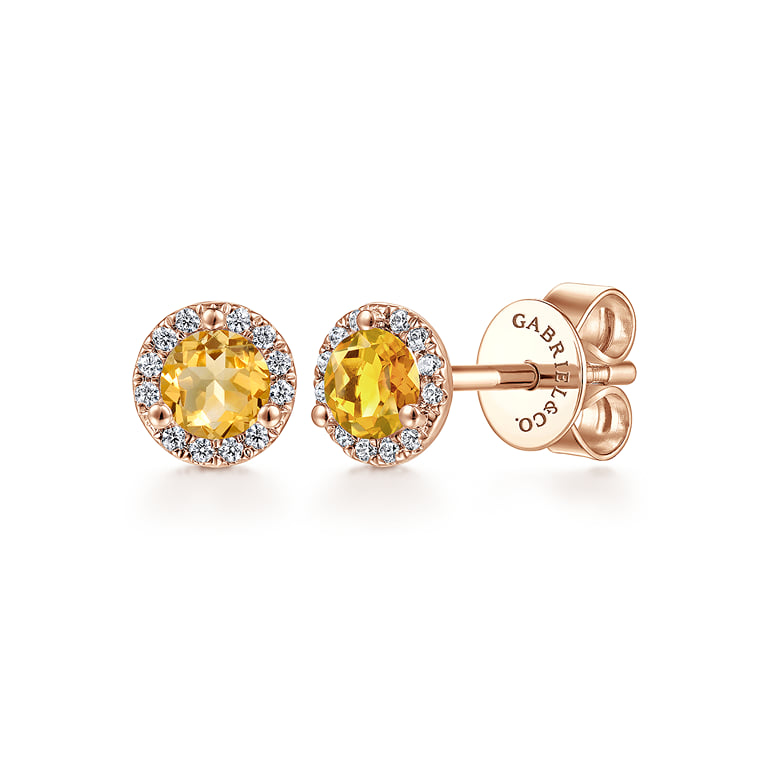 9ct Yellow Gold Andralok Hippo Stud Earrings – No Stone – Jewellerybox ADA-053