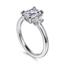 Stephi - 14K White Gold Emerald Cut Three Stone Diamond Engagement Ring - 0.3 ct