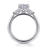 Acacia - 14K White Gold Round Three Stone Diamond Engagement Ring - 0.3 ct