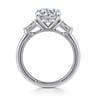 Louann - 14K White Gold Round Three Stone Diamond Engagement Ring - 0.3 ct