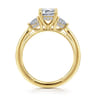 Abbi - 14K Yellow Gold Emerald Cut Three Stone Diamond Engagement Ring - 0.55 ct