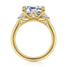 Darline - 14K Yellow Gold Emerald Cut Three Stone Lotus Diamond Engagement Ring - 0.22 ct