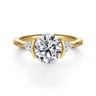 Alesandra - 14K Yellow Gold Half Bezel Round Three Stone Diamond Engagement Ring - 0.3 ct
