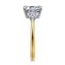 Sima - 14K White-Yellow Gold Emerald Cut Three Stone Diamond Engagement Ring - 0.3 ct