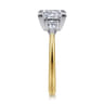 Sima - 14K White-Yellow Gold Princess Cut Three Stone Diamond Engagement Ring - 0.3 ct