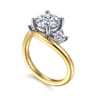 Elin - 14K White-Yellow Gold Round Three Stone Diamond Engagement Ring - 0.5 ct