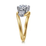 Elin - 14K White-Yellow Gold Round Three Stone Diamond Engagement Ring - 0.5 ct