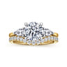 Sima - 14K White-Yellow Gold Round Three Stone Diamond Engagement Ring - 0.4 ct