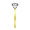 Adeline - 14K White-Yellow Gold Round Three Stone Diamond Engagement Ring - 0.5 ct