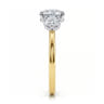 Adeline - 14K White-Yellow Gold Round Three Stone Diamond Engagement Ring - 0.75 ct
