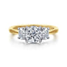 Thalina - 14K White-Yellow Gold Round Three Stone Diamond Engagement Ring - 0.5 ct