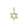 925 Sterling Silver and 14K Yellow Gold Star of David Pendant