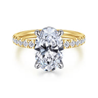 Adela - 14K Yellow-White Gold EOval Hidden Halo Diamond Engagement Ring
