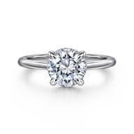 Aldon - Platinum Round Halo Diamond Engagement Ring