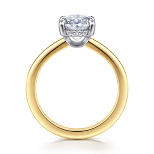 Aliona - 14K White-Yellow Gold Oval Hidden Halo Diamond Engagement Ring