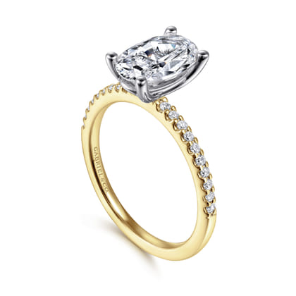 Amata - 14K White-Yellow Gold Oval Diamond Engagement Ring