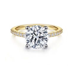 Amata - 14K White-Yellow Gold Round Diamond Engagement Ring