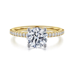 Amata - 14K White-Yellow Gold Round Diamond Engagement Ring