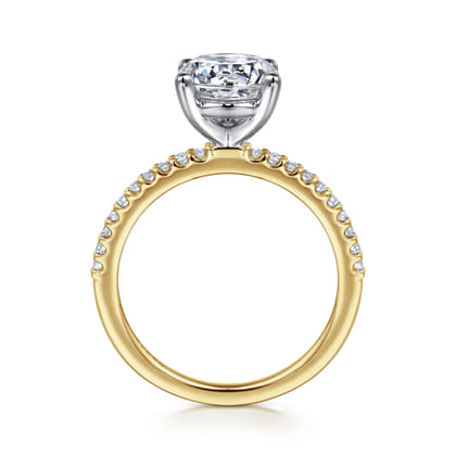 Amata - 14K White-Yellow Gold Round Diamond Engagement Ring