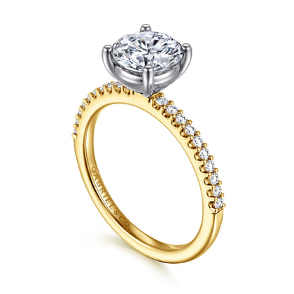 Amata - 14K White-Yellow Gold Round Diamond Engagement Ring