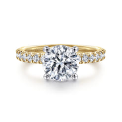 Amira - 14K White-Yellow Gold Hidden Halo Round Diamond Engagement Ring
