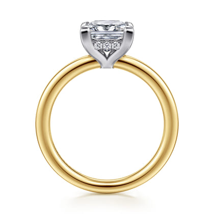 Austria - 14K White-Yellow Gold Princess Cut Diamond Engagement Ring