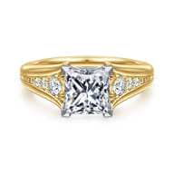 Bruno - 14K White-Yellow Gold Princess Cut Diamond Engagement Ring