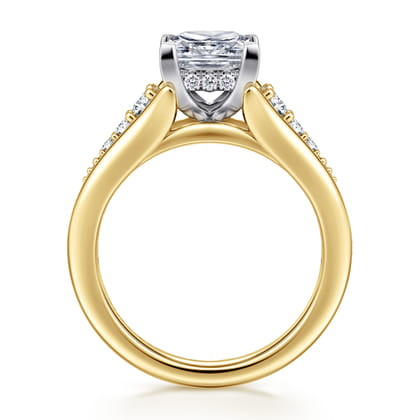 Bruno - 14K White-Yellow Gold Princess Cut Diamond Engagement Ring