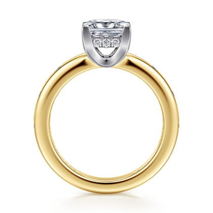 Cabata - 14K White-Yellow Gold Princess Cut Diamond Engagement Ring
