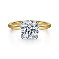 Cari---14K-White-Yellow-Gold-Hidden-Halo-Round-Diamond-Engagement-Ring1