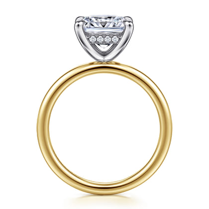 Cari - 14K White-Yellow Gold Princess Cut Diamond Engagement Ring