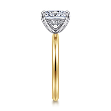 Cari - 14K White-Yellow Gold Princess Cut Diamond Engagement Ring