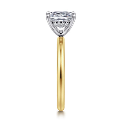 Cari - 14K White-Yellow Gold Princess Diamond Engagement Ring