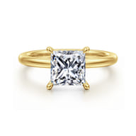 Cari - 14K Yellow Gold Princess Diamond Engagement Ring