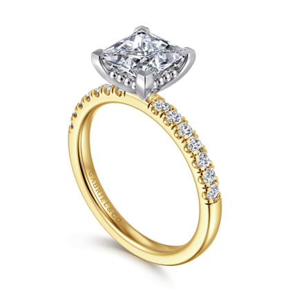 Carmellia - 14K White-Yellow Gold Princess Cut Diamond Engagement Ring