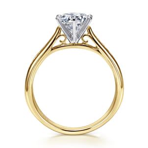 Danielle - 14K White-Yellow Gold Round Diamond Channel Set Engagement Ring